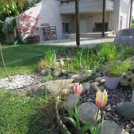 Guesthouse With Garden コモティニ エクステリア 写真