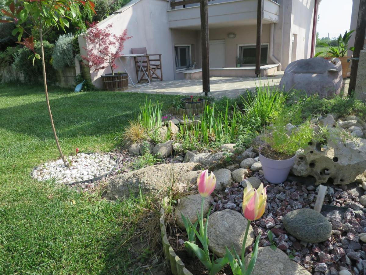 Guesthouse With Garden コモティニ エクステリア 写真